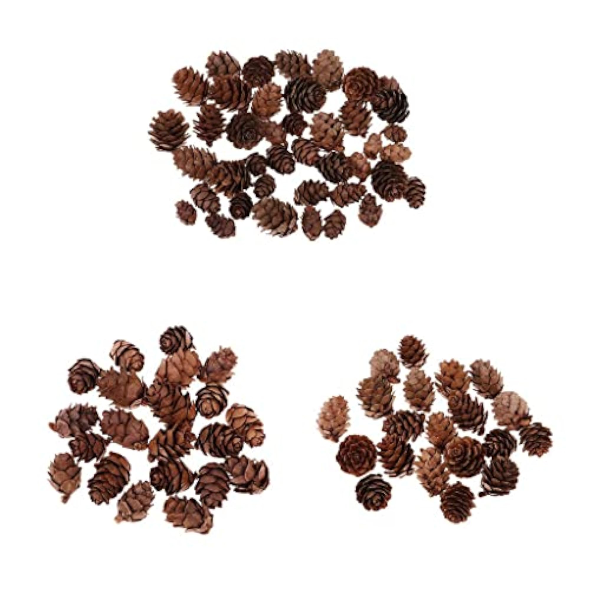 Mini Decorative Pinecone Pine Cones, 50pcs